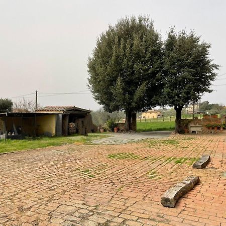 Podere Piazza سيينا المظهر الخارجي الصورة