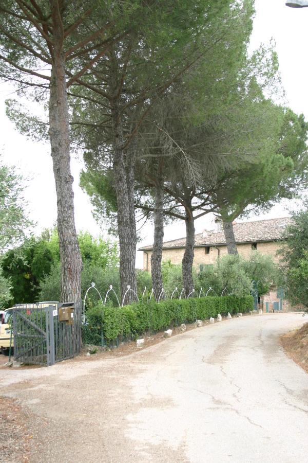 Podere Piazza سيينا المظهر الخارجي الصورة