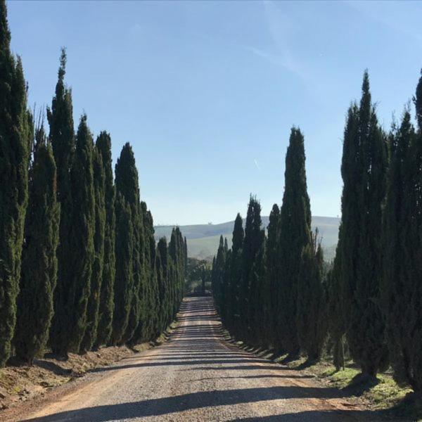 Podere Piazza سيينا المظهر الخارجي الصورة